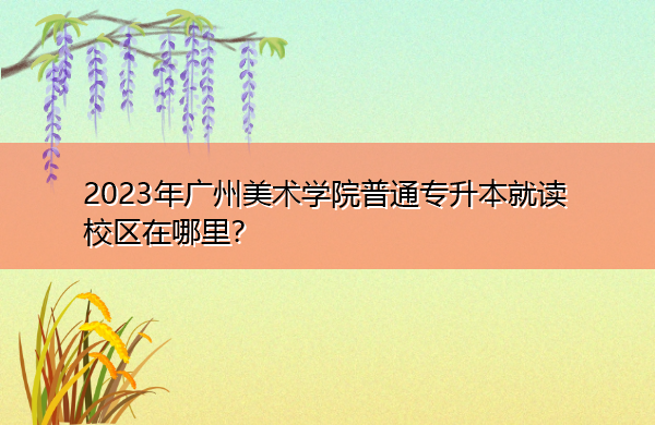 2023年广州美术学院普通专升本就读校区在哪里? 2023年广州美术学院普通专升本就读校区在哪里?