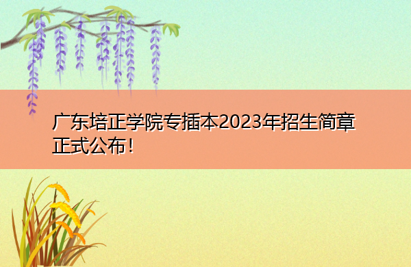 广东培正学院专插本2023年招生简章正式公布! 广东培正学院专插本2023年招生简章正式公布!