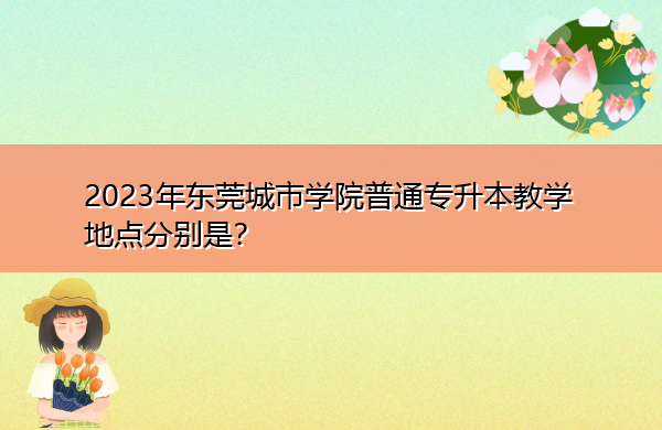 2023年东莞城市学院普通专升本教学地点分别是？