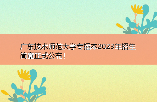 广东技术师范大学专插本2023年招生简章正式公布! 广东技术师范大学专插本2023年招生简章正式公布!