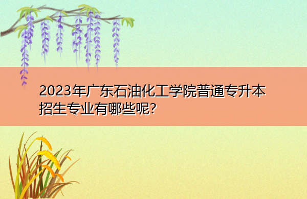 2023年广东石油化工学院普通专升本招生专业有哪些呢? 2023年广东石油化工学院普通专升本招生专业有哪些呢?