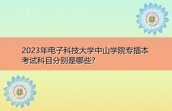 2023年电子科技大学中山学院专插本考试科目分别是哪些？