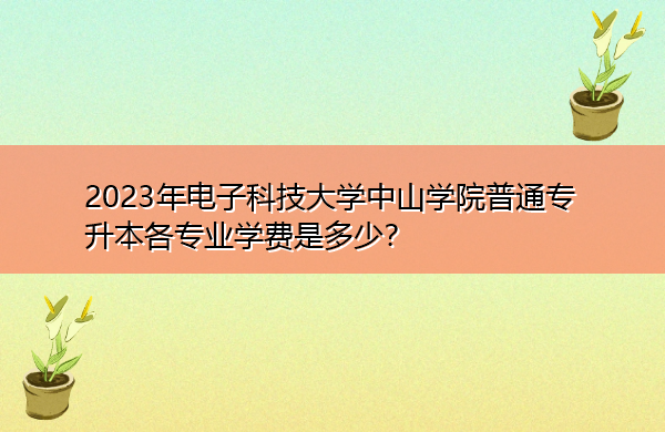2023年电子科技大学中山学院普通专升本各专业学费是多少? 2023年电子科技大学中山学院普通专升本各专业学费是多少?