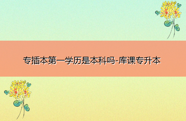 专插本第一学历是本科吗