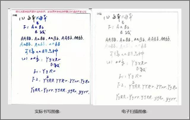 专插本考试需要2b铅笔吗 专插本考试需要2b铅笔吗