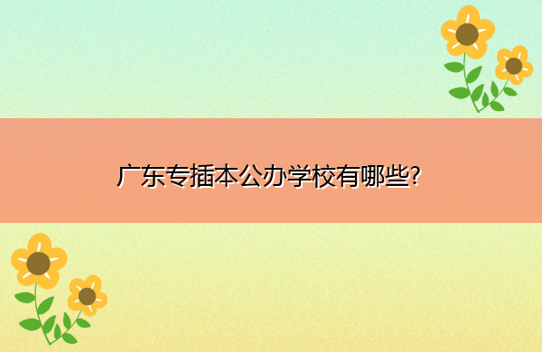 广东专插本公办学校有哪些? 广东专插本公办学校有哪些?