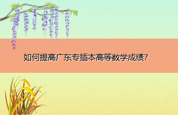 如何提高广东专插本高等数学成绩? 如何提高广东专插本高等数学成绩?