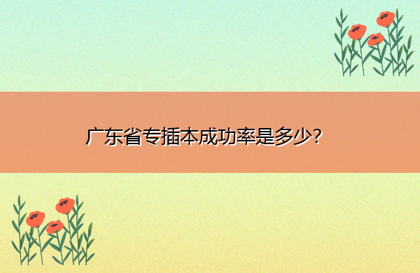 广东省专插本成功率是多少？