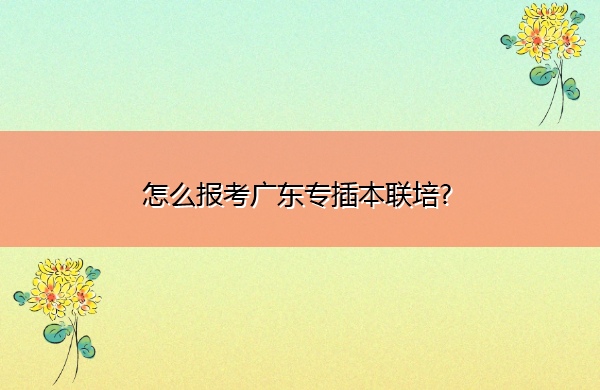 怎么报考广东专插本联培? 怎么报考广东专插本联培?