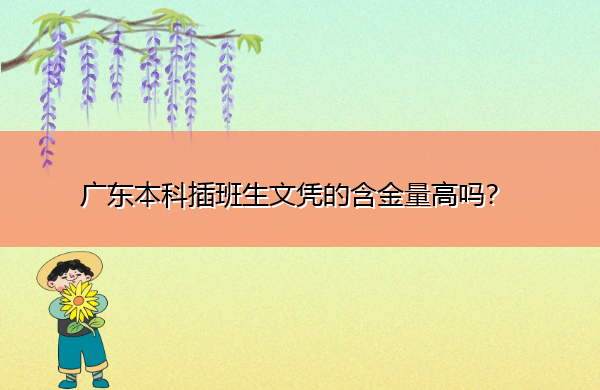 广东本科插班生文凭的含金量高吗? 广东本科插班生文凭的含金量高吗?