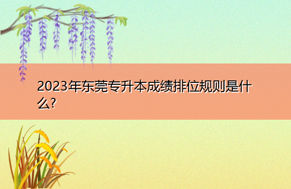 2023年东莞专升本成绩排位规则是什么?