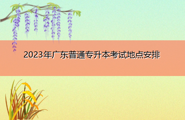 2023年广东普通专升本考试地点安排 2023年广东普通专升本考试地点安排