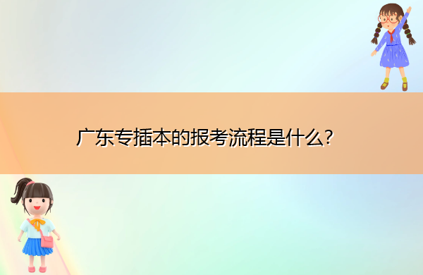 广东专插本的报考流程是什么？