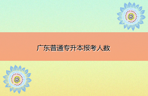 广东普通专升本报考人数