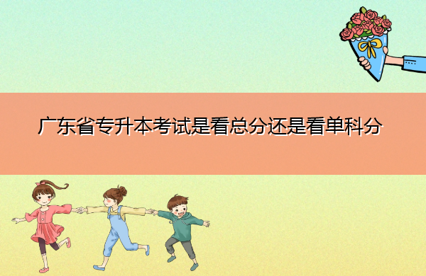 广东省专升本考试是看总分还是看单科分 广东省专升本考试是看总分还是看单科分