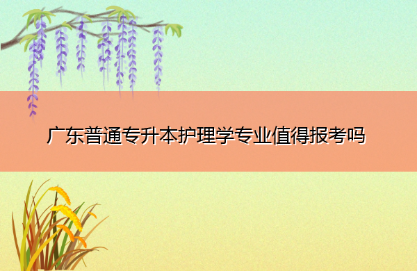 广东普通专升本护理学专业值得报考吗 广东普通专升本护理学专业值得报考吗