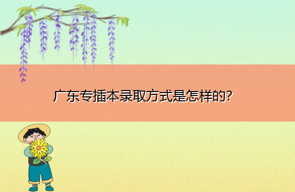 广东专插本录取方式是怎样的？