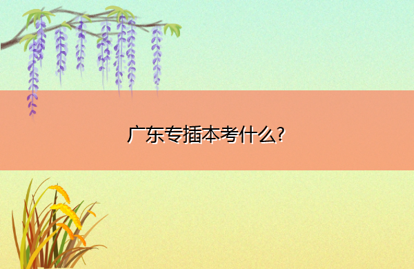 广东专插本考什么? 广东专插本考什么?
