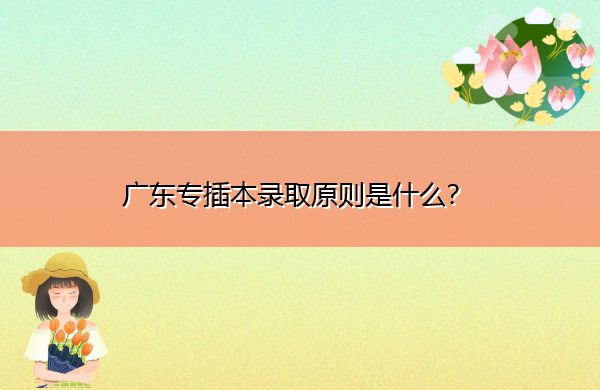 广东专插本录取原则是什么? 广东专插本录取原则是什么?
