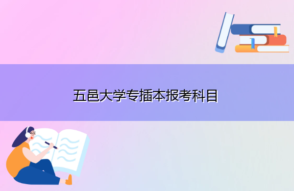 五邑大学专插本报考科目