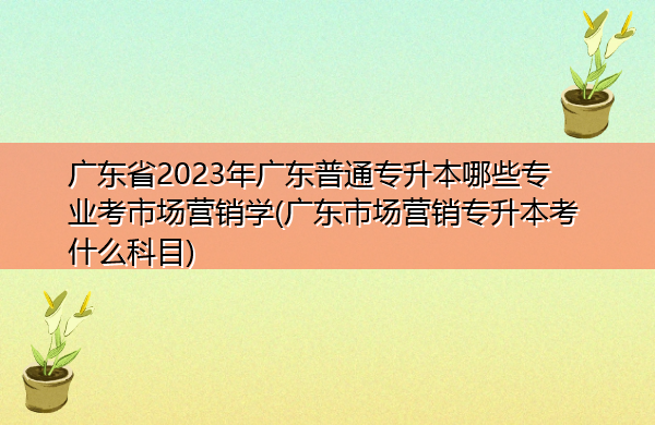 广东省2023年广东普通专升本哪些专业考市场营销学(广东省场营销专升本考什么科目)