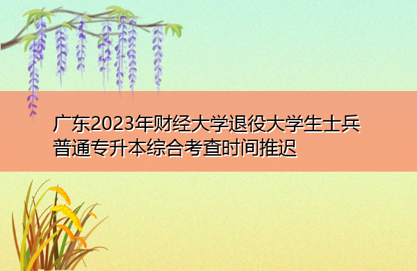 广东2023年财经大学退役大学生士兵普通专升本综合考查时间推迟 广东2023年财经大学退役大学生士兵普通专升本综合考查时间推迟