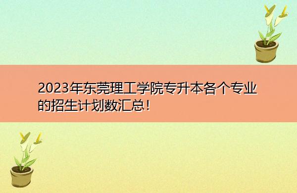 2023年东莞理工学院专升本各个专业的招生计划数汇总! 2023年东莞理工学院专升本各个专业的招生计划数汇总!