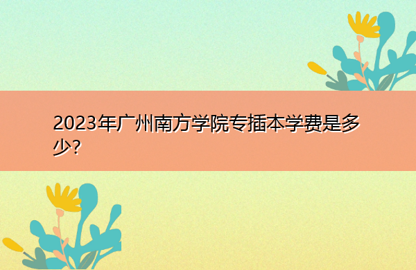 2023年广州南方学院专插本学费是多少？