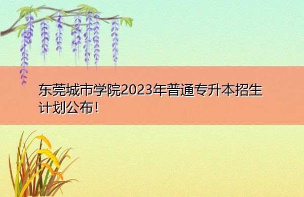 东莞城市学院2023年普通专升本招生计划公布! 东莞城市学院2023年普通专升本招生计划公布!
