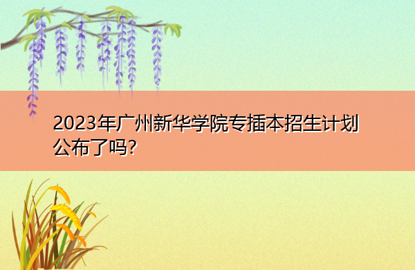 2023年广州新华学院专插本招生计划公布了吗? 2023年广州新华学院专插本招生计划公布了吗?
