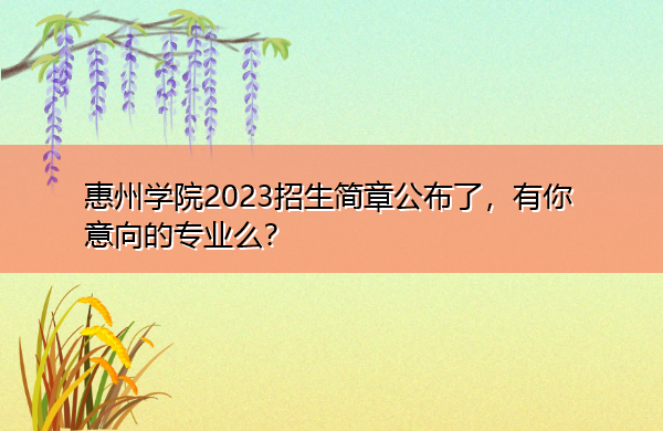 惠州学院2023招生简章公布了,有你意向的专业么? 惠州学院2023招生简章公布了,有你意向的专业么?