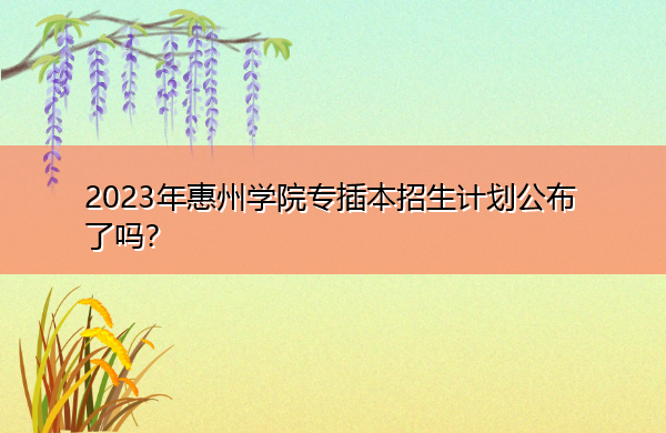 2023年惠州学院专插本招生计划公布了吗？