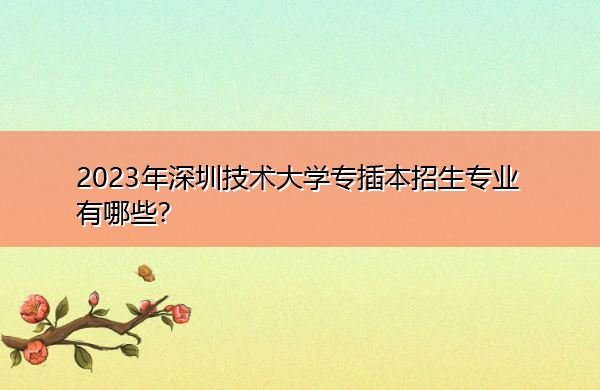 2023年深圳技术大学专插本招生专业有哪些？
