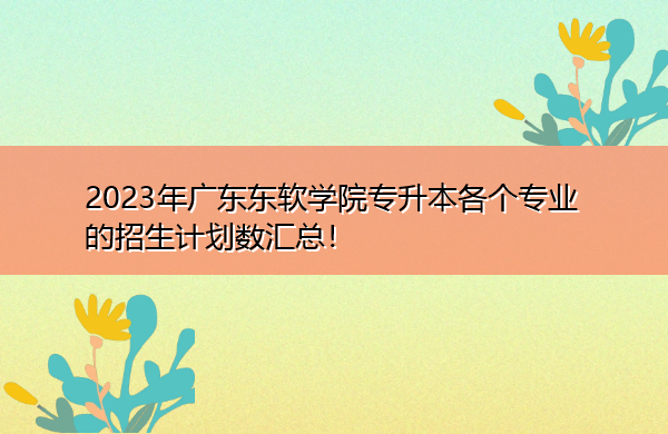 2023年广东东软学院专升本各个专业的招生计划数汇总！