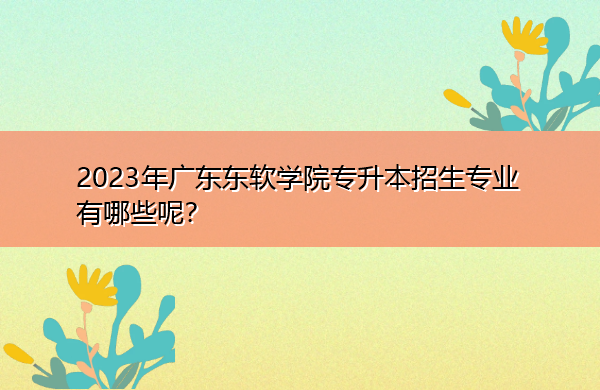2023年广东东软学院专升本招生专业有哪些呢? 2023年广东东软学院专升本招生专业有哪些呢?