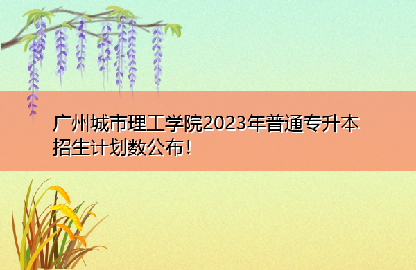 广州城市理工学院2023年普通专升本招生计划数公布! 广州城市理工学院2023年普通专升本招生计划数公布!