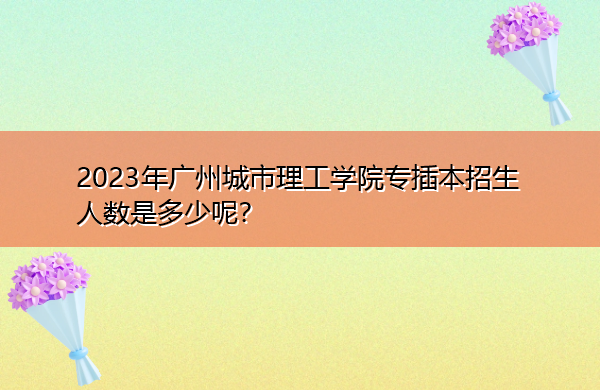 2023年广州城市理工学院专插本招生人数是多少呢？