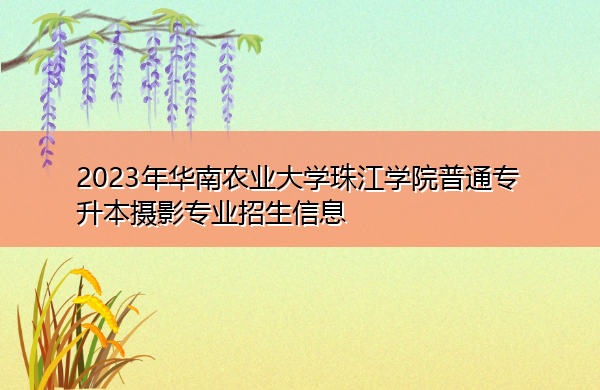 2023年华南农业大学珠江学院普通专升本摄影专业招生信息 2023年华南农业大学珠江学院普通专升本摄影专业招生信息