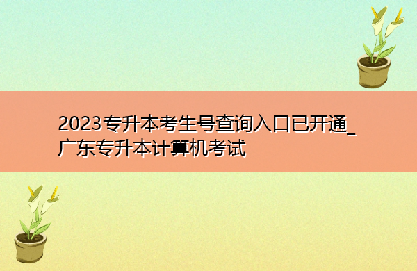 2023专升本考生号查询入口已开通_广东专升本计算机考试 2023专升本考生号查询入口已开通_广东专升本计算机考试