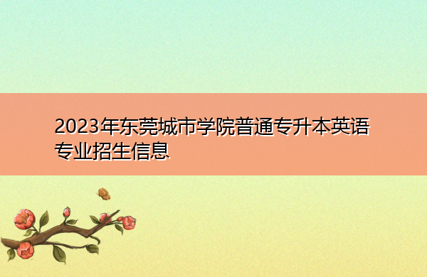 2023年东莞城市学院普通专升本英语专业招生信息
