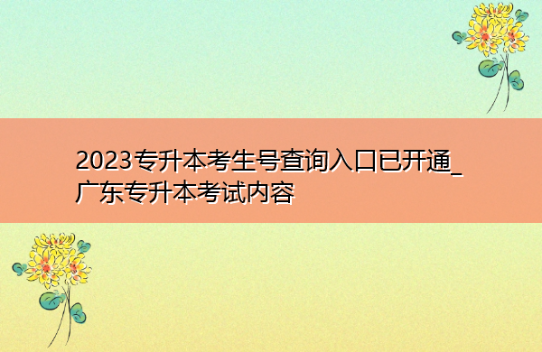 2023专升本考生号查询入口已开通_广东专升本考试内容