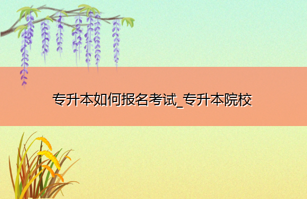专升本如何报名考试_专升本院校 专升本如何报名考试_专升本院校