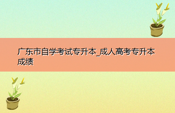 广东省自学考试专升本_成人高考专升本成绩 广东省自学考试专升本_成人高考专升本成绩