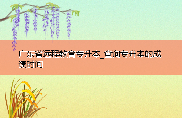 广东省远程教育专升本_查询专升本的成绩时间 广东省远程教育专升本_查询专升本的成绩时间