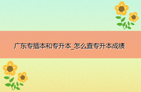 广东专插本和专升本_怎么查专升本成绩