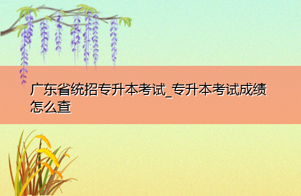 广东省统招专升本考试_专升本考试成绩怎么查