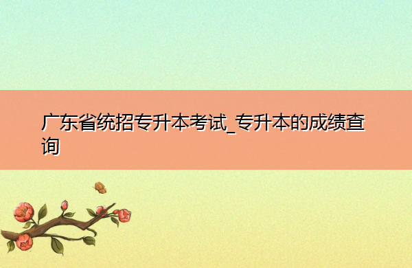 广东省统招专升本考试_专升本的成绩查询 广东省统招专升本考试_专升本的成绩查询