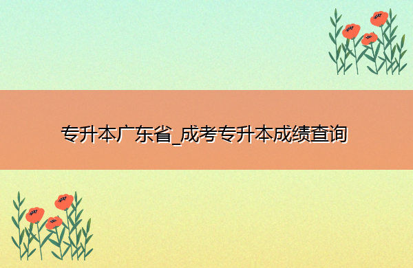 专升本广东省_成考专升本成绩查询