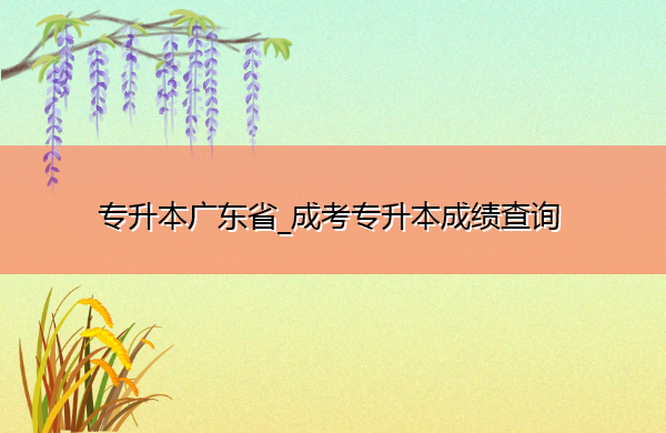 专升本广东省_成考专升本成绩查询
