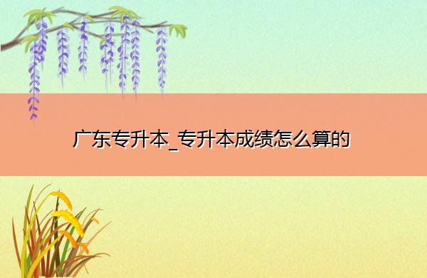 广东专升本_专升本成绩怎么算的